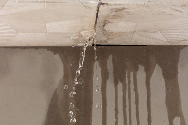 Professional Water Damage Inspection technician working in Naval Air Station Jrb, TX